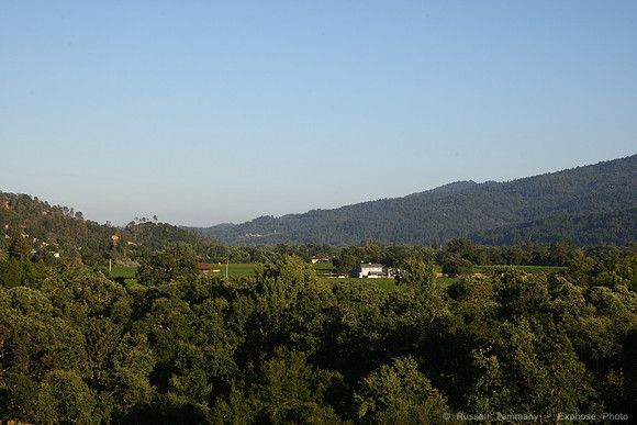 CA-29