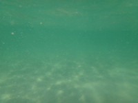 Ibiza - Coast
