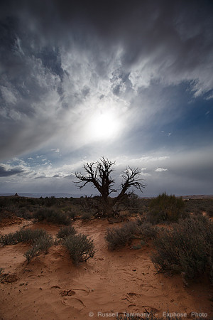 Arches NP