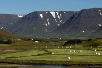 Hwy 60 South in the Westfjords