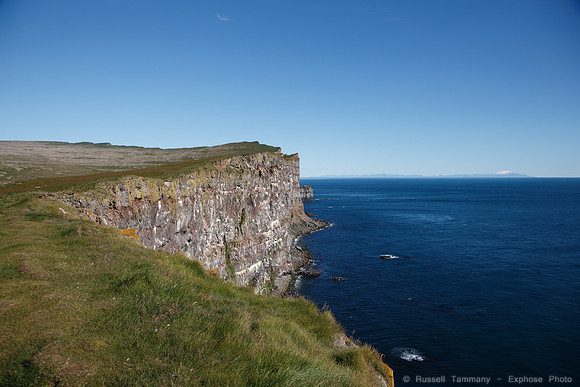 Puffins and more at Látrabjarg Cliffs