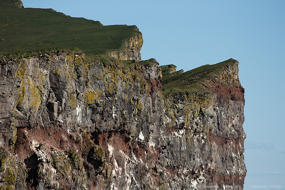 Puffins and more at Látrabjarg Cliffs
