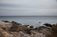 1DX_9538