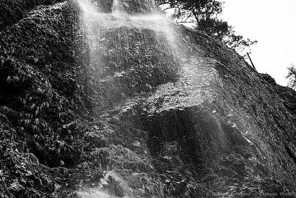 RTA06474