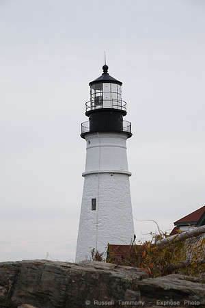 1DX_9562