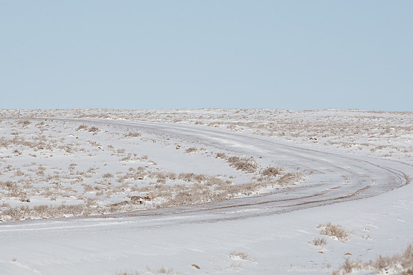 Bicknell Bottoms / Posey Lake Rd, Boulder Mtn, UT