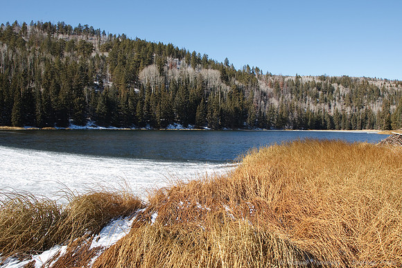 Bicknell Bottoms / Posey Lake Rd, Boulder Mtn, UT