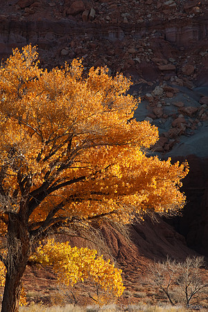 Sunrise, Scenic Dr, Capitol Reef NP, UT
