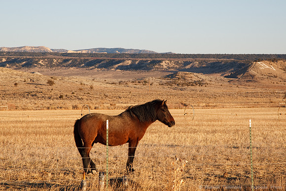 Near Escalante, UT