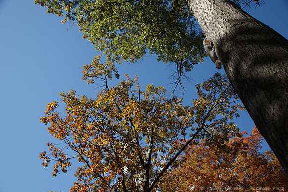 1DX_9864