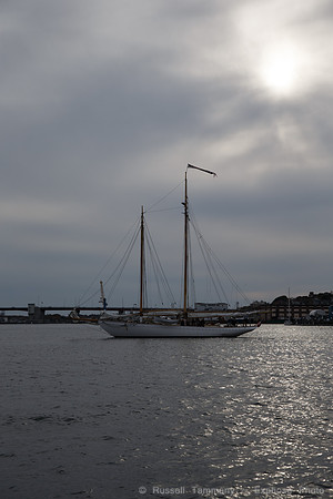 1DX_1524