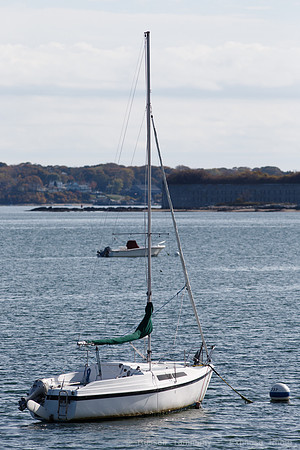 1DX_1364