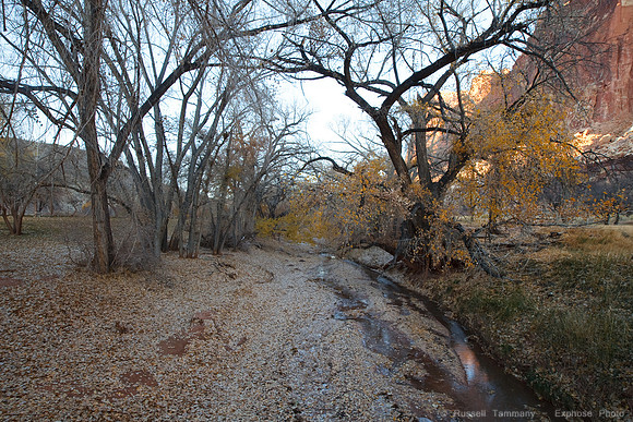 Sunrise, Scenic Dr, Capitol Reef NP, UT