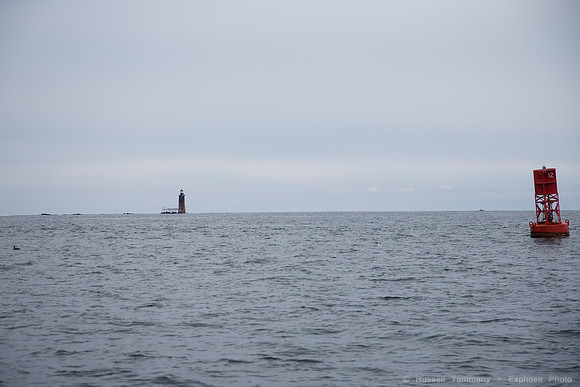 1DX_1453
