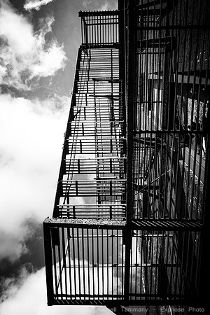 1DX_1378