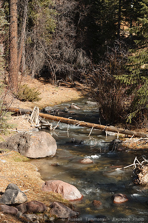 Bicknell Bottoms / Posey Lake Rd, Boulder Mtn, UT