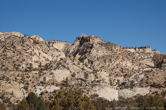 Bicknell Bottoms / Posey Lake Rd, Boulder Mtn, UT