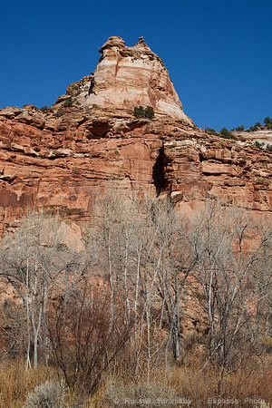 UT 12 through Grand Staircase-Escalante NM
