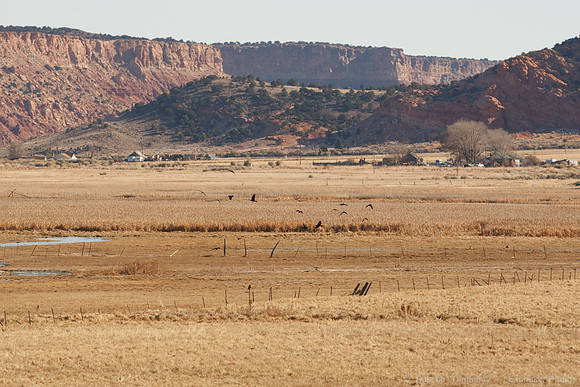 Bicknell, UT
