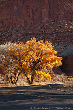 Sunrise, Scenic Dr, Capitol Reef NP, UT