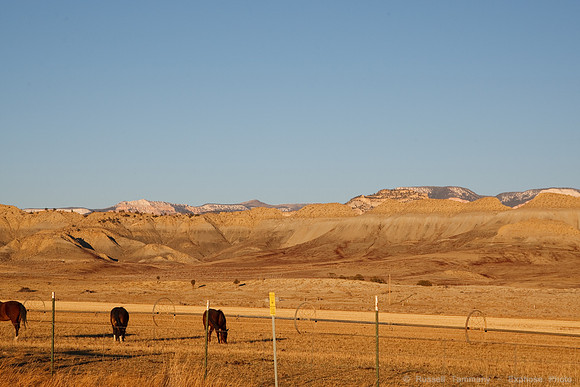 Near Escalante, UT