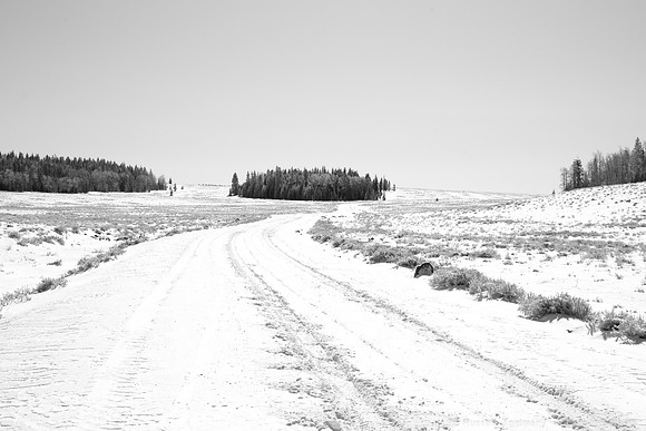 Bicknell Bottoms / Posey Lake Rd, Boulder Mtn, UT