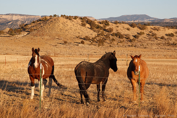 Near Escalante, UT