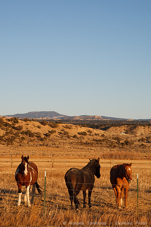 Near Escalante, UT