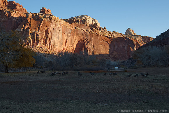 Sunrise, Scenic Dr, Capitol Reef NP, UT