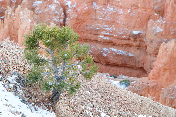 Sunset Bryce Canyon NP