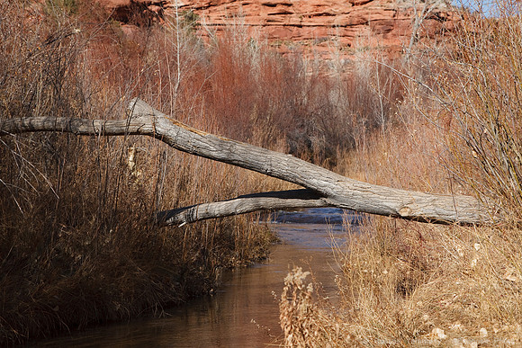 UT 12 through Grand Staircase-Escalante NM