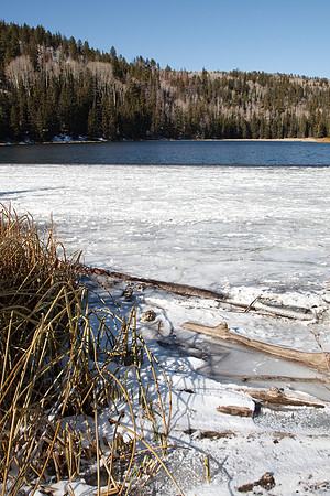 Bicknell Bottoms / Posey Lake Rd, Boulder Mtn, UT