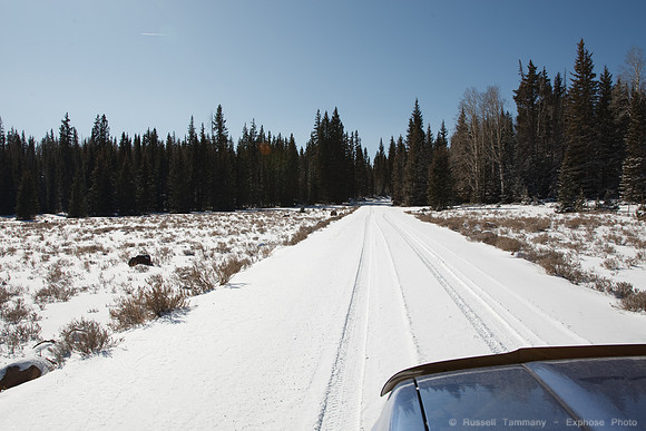 Bicknell Bottoms / Posey Lake Rd, Boulder Mtn, UT