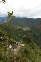 DSC08617