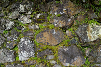 DSC08624