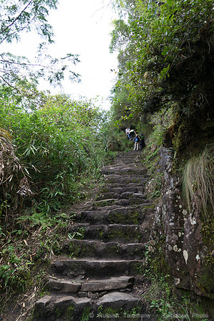 DSC08837