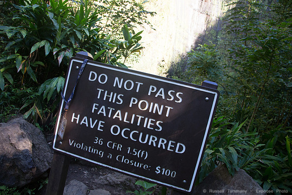 1DX_8400