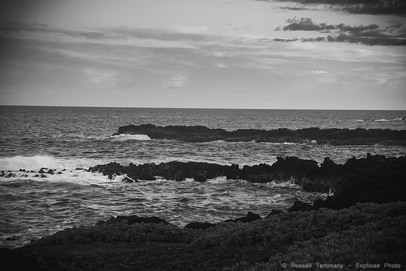 1DX_8297