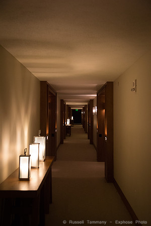 1DX_7379