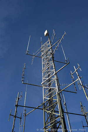 1DX_0440