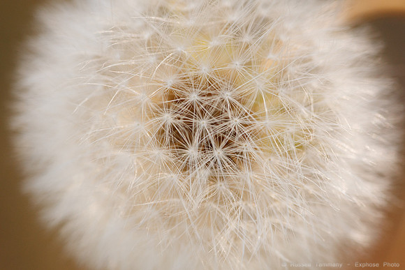 1D3_7568
