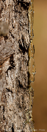 1D3_7464