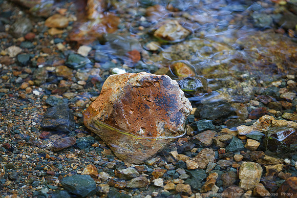 1D3_7472