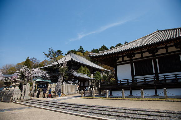 1DX_6696