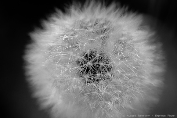 1D3_7582