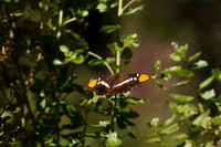 1D3_7352
