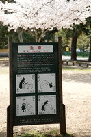1DX_6569
