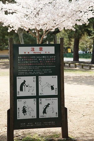 1DX_6569