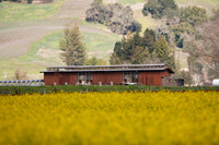 Alexander Valley