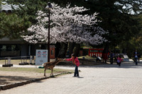 1DX_6576